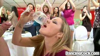 Odmor Pleše Velikog Član